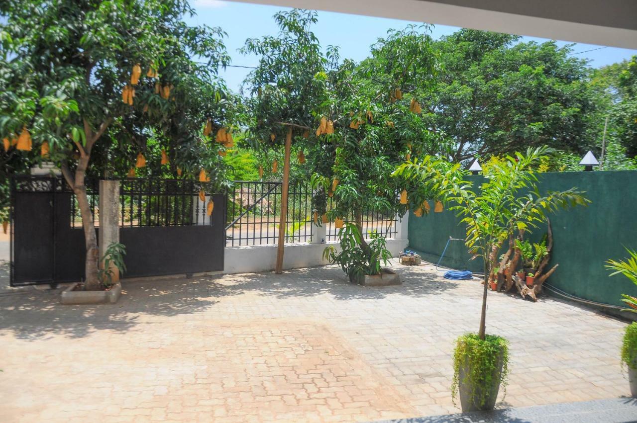 Restwell Homestay Dambulla Ngoại thất bức ảnh